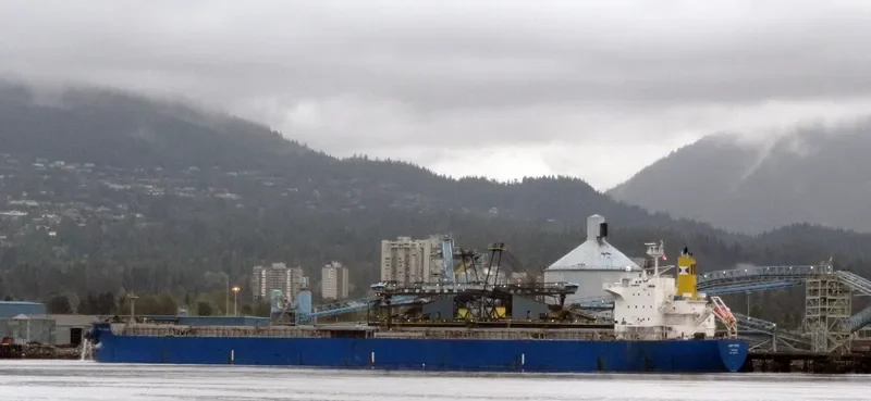 LADY GIOVI Bulk Carrier IMO 9389227 photo 9