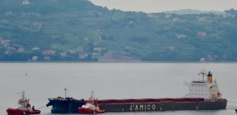 ASL MOON Bulk Carrier IMO 9389239 photo 5