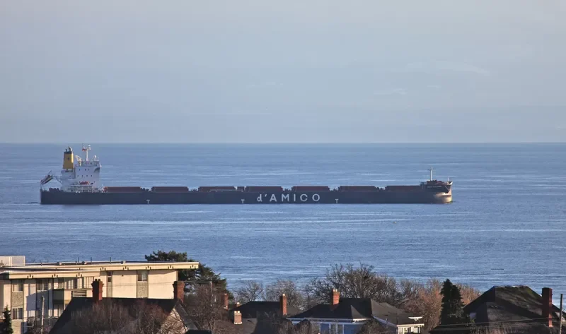 ASL MOON Bulk Carrier IMO 9389239 photo 8