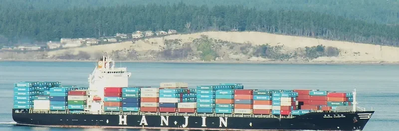 ZIM CHINA Container Ship IMO 9389382 photo 10