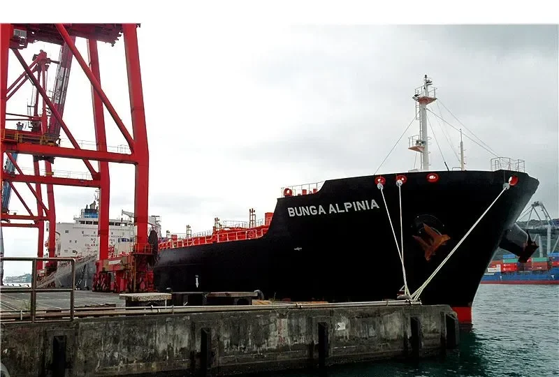 BUNGA ALPINIA Tanker IMO 9389538 photo 3