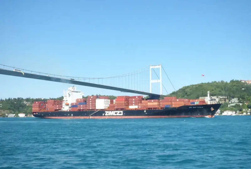 ZIM SAO PAOLO Container Ship IMO 9389681 photo 2