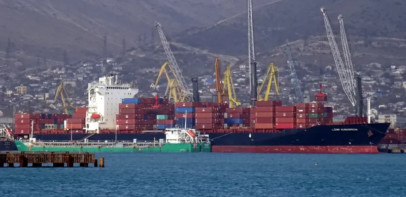ZIM KINGSTON Container Ship IMO 9389693