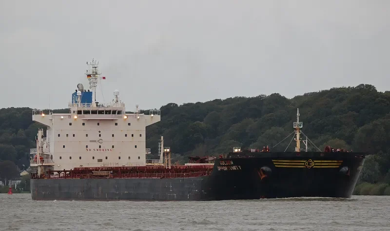 GOLDEN OPPORTUNITY Bulk Carrier IMO 9389813