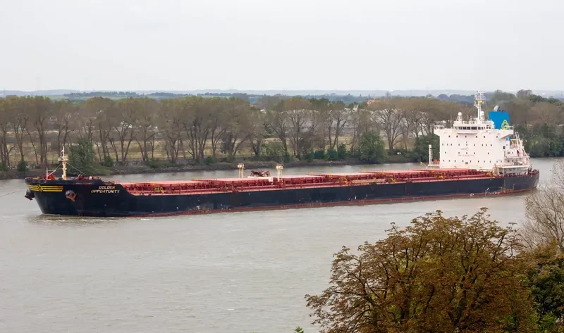 GOLDEN OPPORTUNITY Bulk Carrier IMO 9389813 photo 2