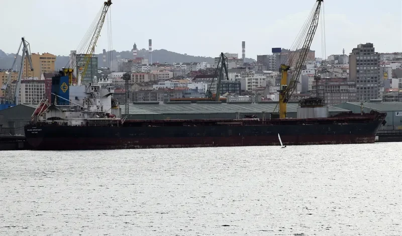 GOLDEN OPPORTUNITY Bulk Carrier IMO 9389813 photo 4