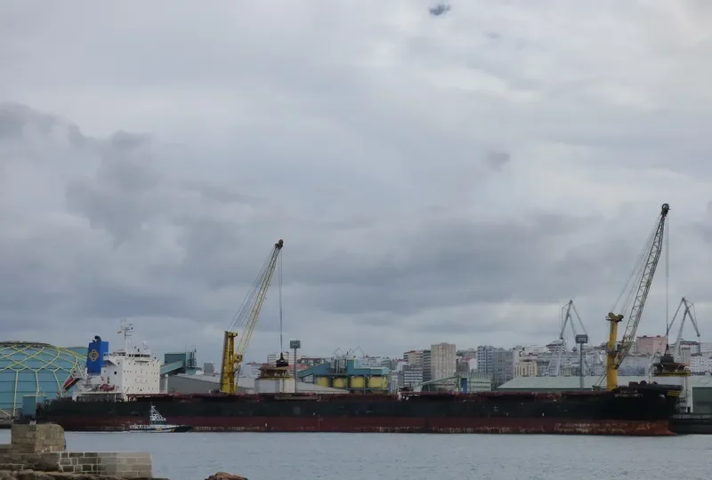 GOLDEN OPPORTUNITY Bulk Carrier IMO 9389813 photo 5