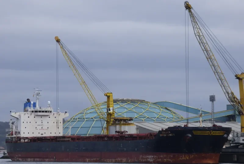 GOLDEN OPPORTUNITY Bulk Carrier IMO 9389813 photo 6