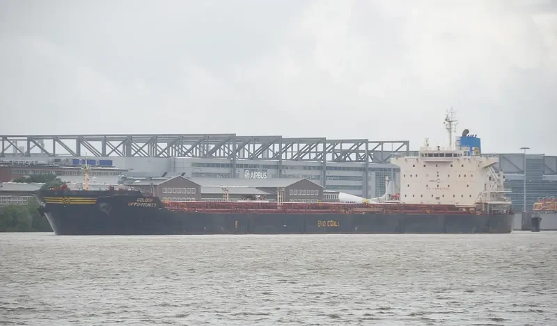 GOLDEN OPPORTUNITY Bulk Carrier IMO 9389813 photo 7