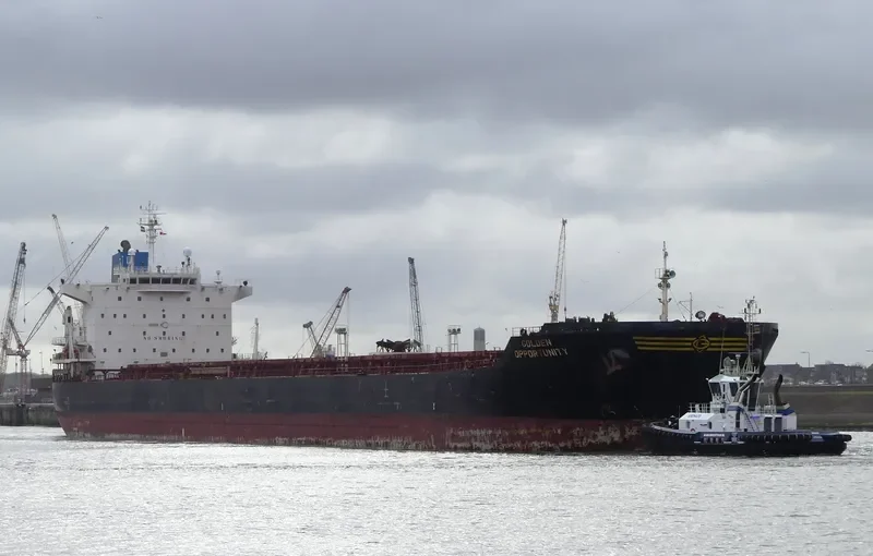 GOLDEN OPPORTUNITY Bulk Carrier IMO 9389813 photo 10