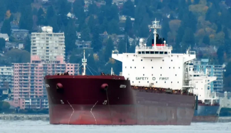 GOYA Bulk Carrier IMO 9389825