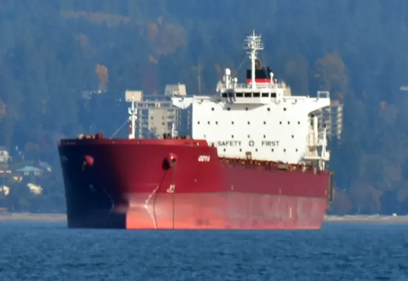 GOYA Bulk Carrier IMO 9389825 photo 3