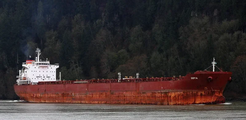 GOYA Bulk Carrier IMO 9389825 photo 6