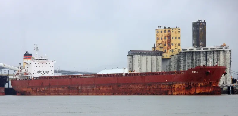 GOYA Bulk Carrier IMO 9389825 photo 7