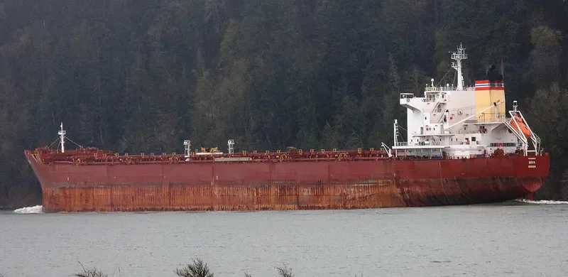 GOYA Bulk Carrier IMO 9389825 photo 9
