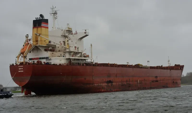 GOYA Bulk Carrier IMO 9389825 photo 10