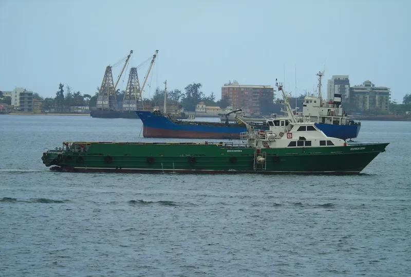 BOURBON BORA General Cargo IMO 9389904
