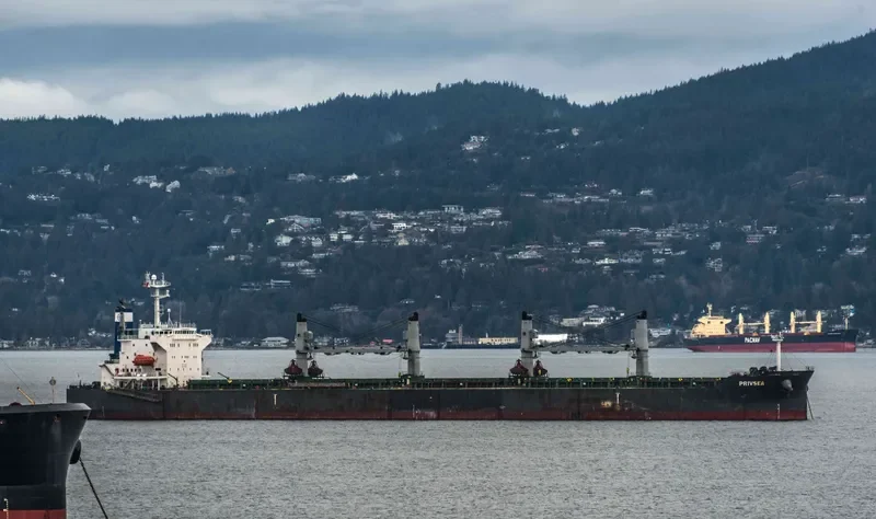 AFRICAN QUEEN Bulk Carrier IMO 9389930