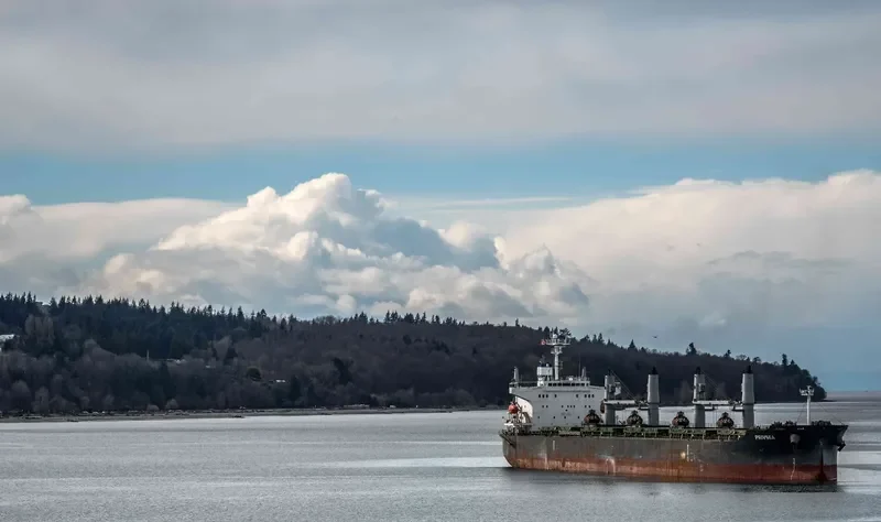 AFRICAN QUEEN Bulk Carrier IMO 9389930 photo 2