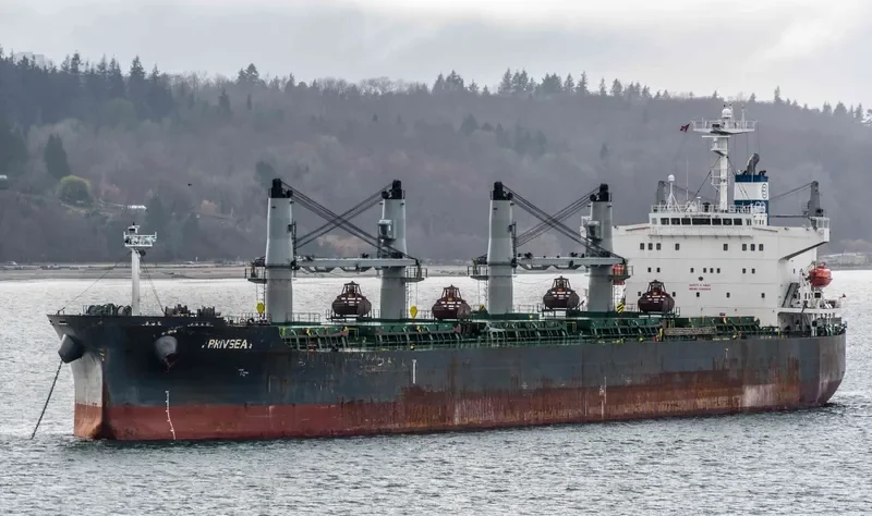 AFRICAN QUEEN Bulk Carrier IMO 9389930 photo 3