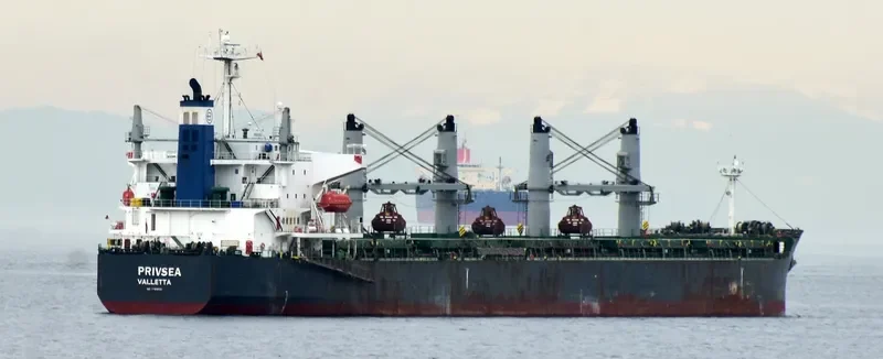 AFRICAN QUEEN Bulk Carrier IMO 9389930 photo 4