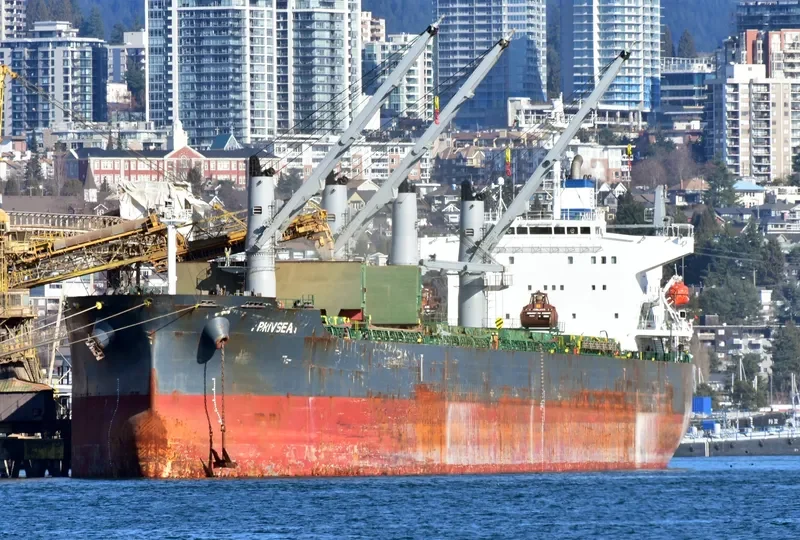 AFRICAN QUEEN Bulk Carrier IMO 9389930 photo 5