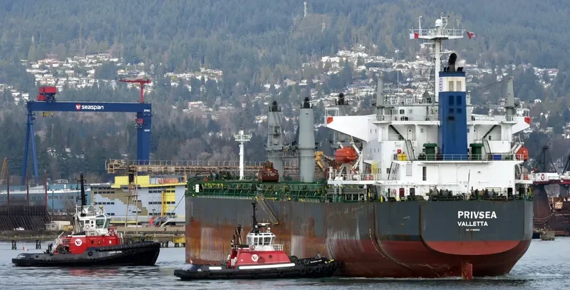 AFRICAN QUEEN Bulk Carrier IMO 9389930 photo 6