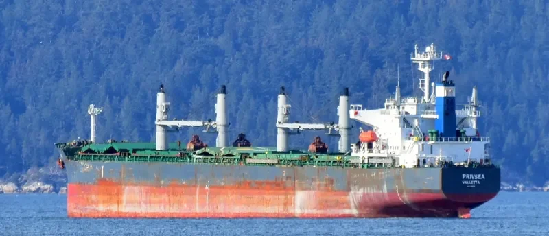 AFRICAN QUEEN Bulk Carrier IMO 9389930 photo 7