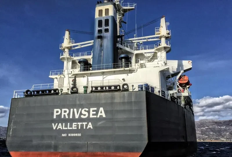 AFRICAN QUEEN Bulk Carrier IMO 9389930 photo 9