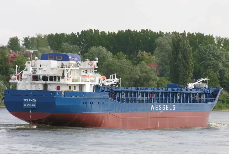 WILSON DUSAVIK General Cargo IMO 9390147