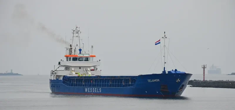 WILSON DUSAVIK General Cargo IMO 9390147 photo 2