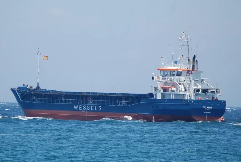 WILSON DUSAVIK General Cargo IMO 9390147 photo 3