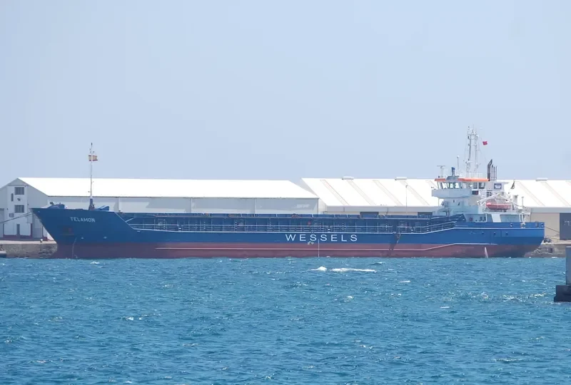 WILSON DUSAVIK General Cargo IMO 9390147 photo 4