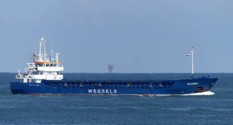 WILSON DUSAVIK General Cargo IMO 9390147 photo 5