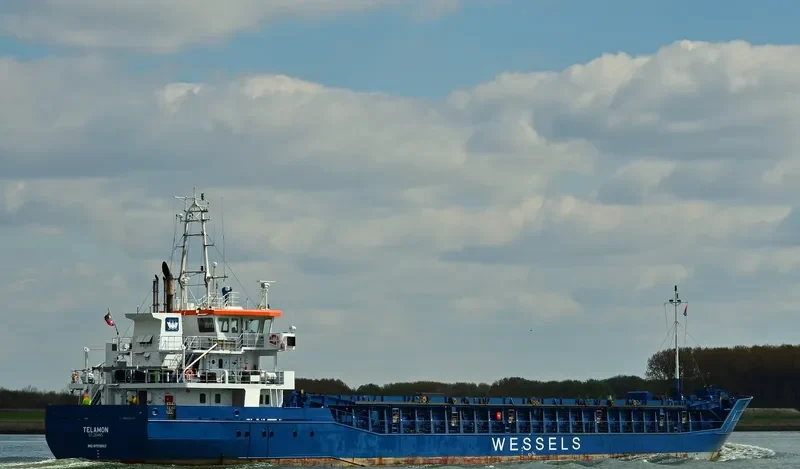 WILSON DUSAVIK General Cargo IMO 9390147 photo 6