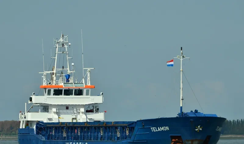 WILSON DUSAVIK General Cargo IMO 9390147 photo 7
