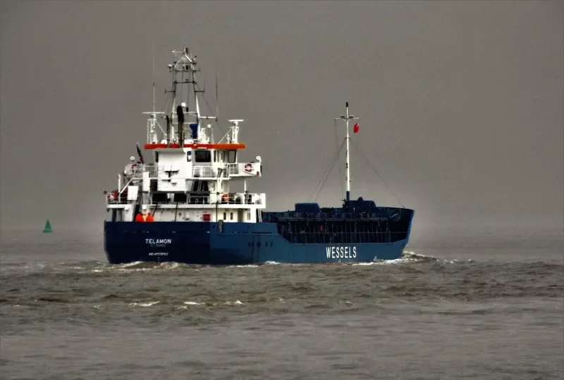 WILSON DUSAVIK General Cargo IMO 9390147 photo 8