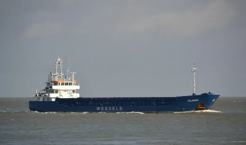 WILSON DUSAVIK General Cargo IMO 9390147 photo 10