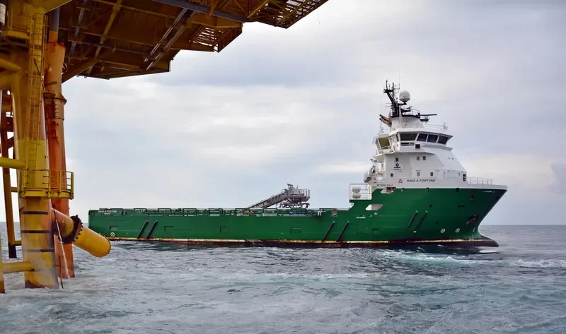 HAVILA FORTUNE General Cargo IMO 9390551 photo 2