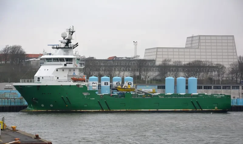 HAVILA FORTUNE General Cargo IMO 9390551 photo 3