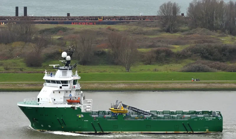 HAVILA FORTUNE General Cargo IMO 9390551 photo 7