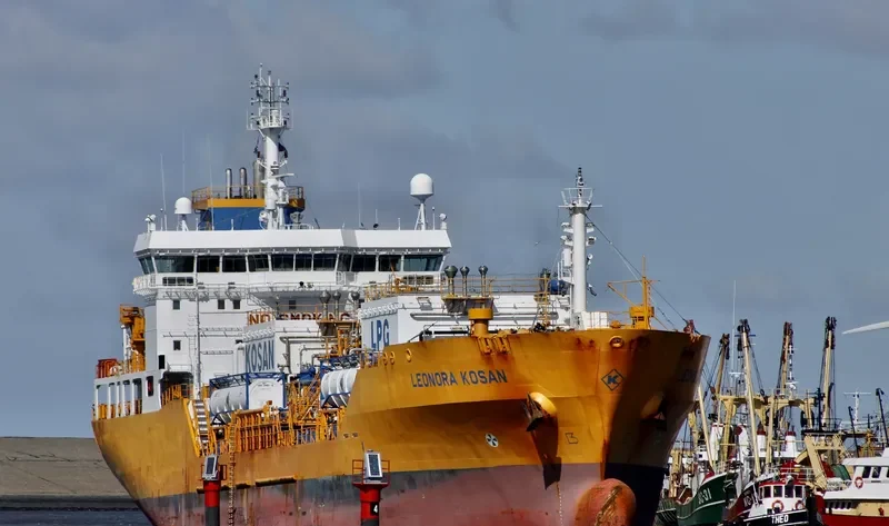 LEONORA KOSAN General Cargo IMO 9390953 photo 2