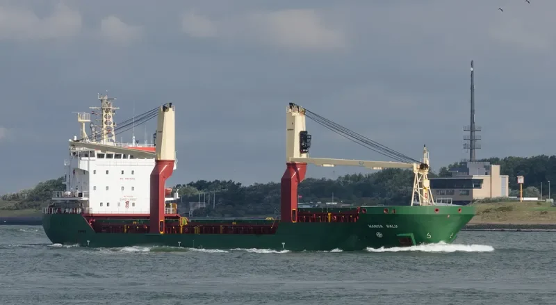 MANISA BALU General Cargo IMO 9391036 photo 8