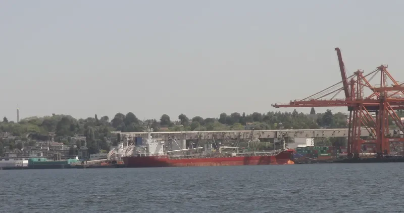 VOLANTE Tanker IMO 9391141 photo 9