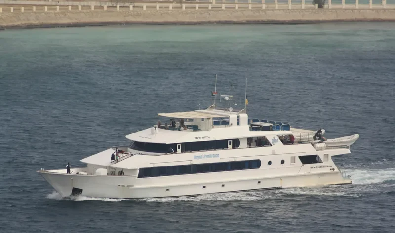 ROYAL EVOLUTION Passenger Ship IMO 9391191