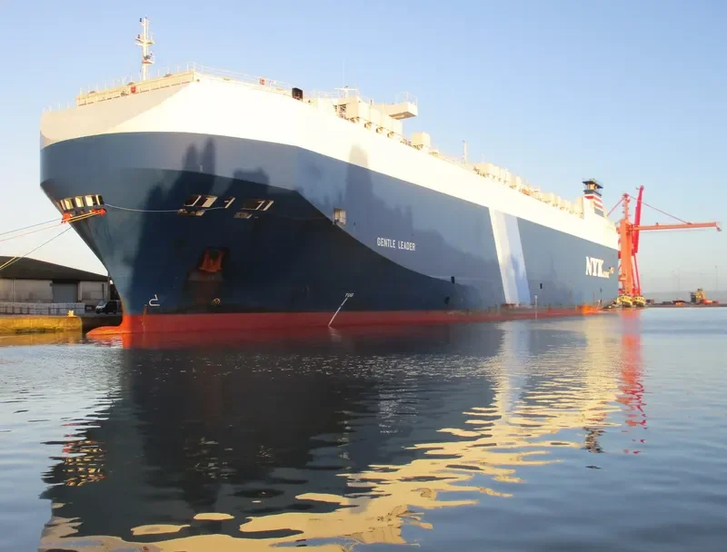 GENTLE LEADER General Cargo IMO 9391567 photo 10