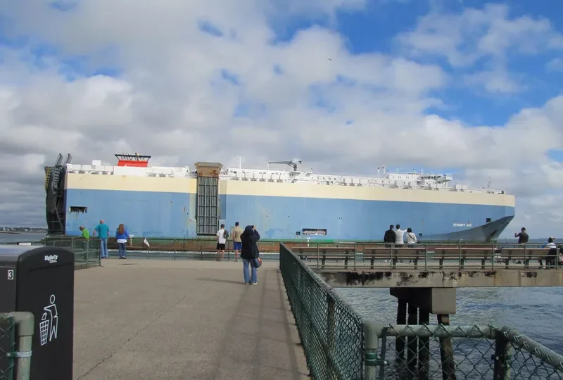 SERENITY ACE General Cargo IMO 9391579 photo 8