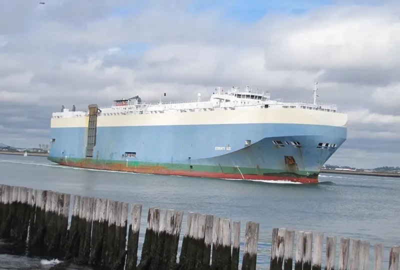 SERENITY ACE General Cargo IMO 9391579 photo 10