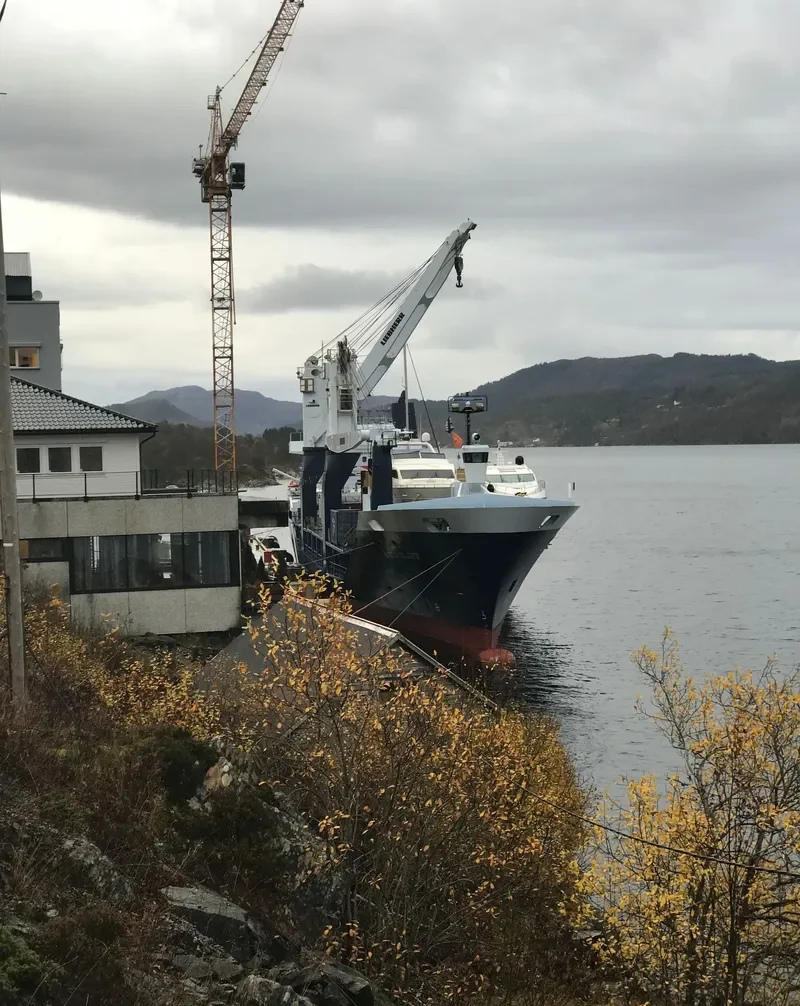 DEO VOLENTE General Cargo IMO 9391658 photo 3