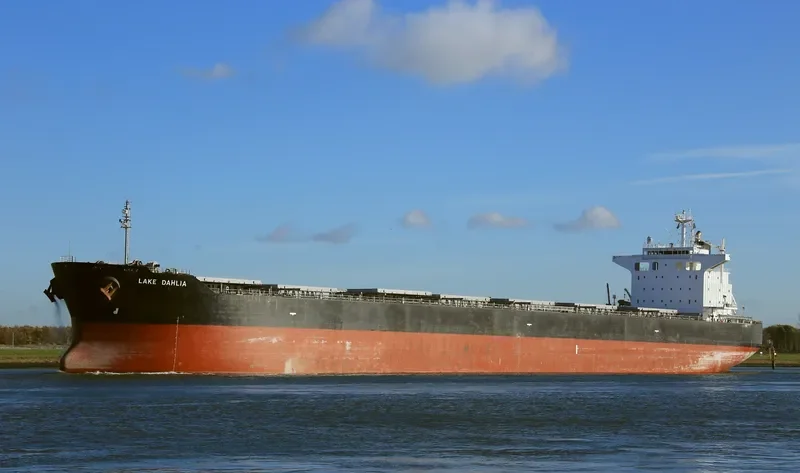 MAY Bulk Carrier IMO 9391969 photo 8